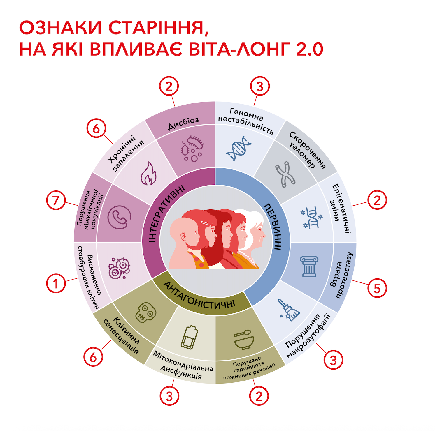 Віта-Лонг 2.0